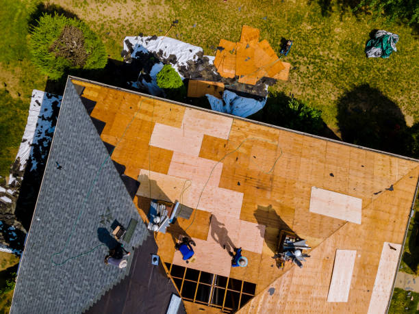 Best Roof Leak Repair  in Logan, NM