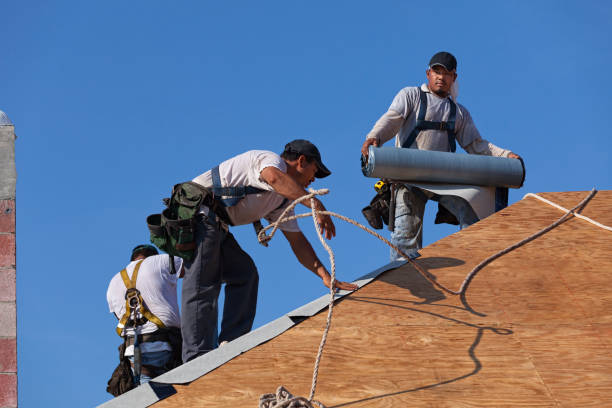 Roof Installation Near Me in Logan, NM